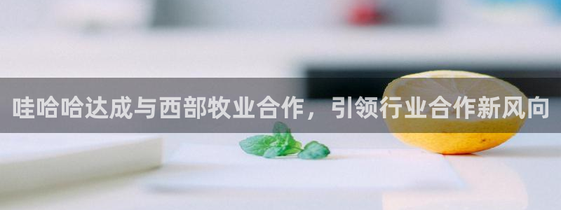 乐虎游网络科技有限公司网易