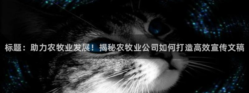 乐虎国际娱乐登录官网手机下载视觉中国